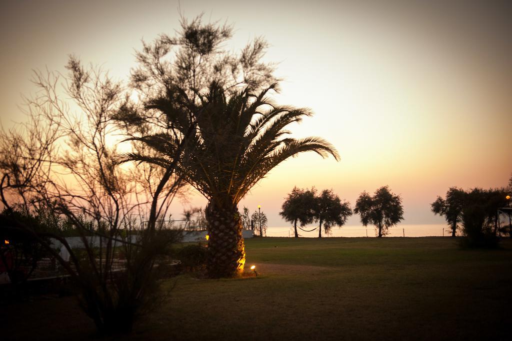 Corfu Sea Palm Residence روذا المظهر الخارجي الصورة