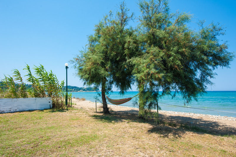 Corfu Sea Palm Residence روذا المظهر الخارجي الصورة